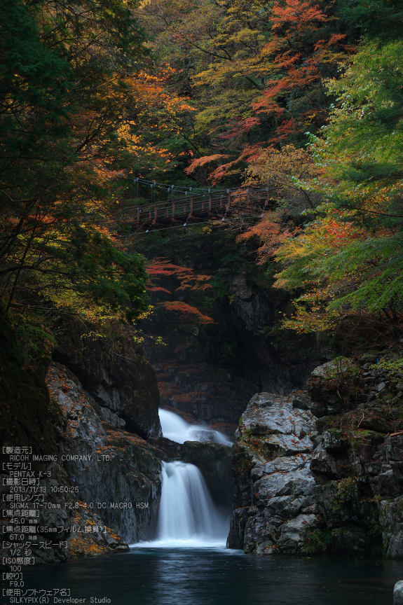 天川,天ノ川渓谷,紅葉（PENTAX-K3）_2013yaotomi_63s.jpg