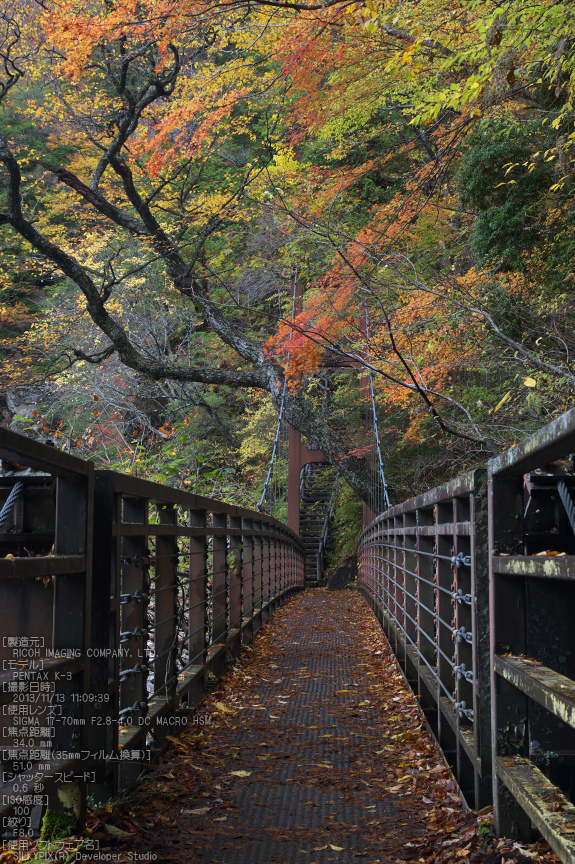 天川,天ノ川渓谷,紅葉（PENTAX-K3）_2013yaotomi_67s.jpg