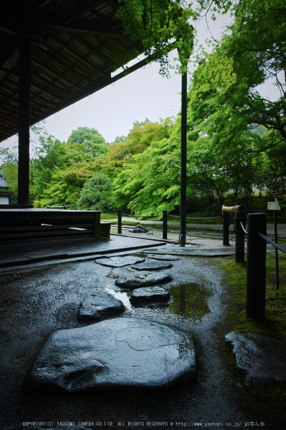 天授庵,夏の庭園(DP0Q0243,5.6,1-100 秒)2015yaotomi_.jpg