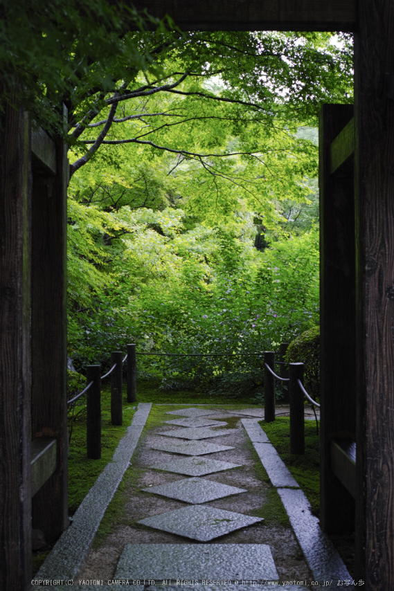 天授庵,夏の庭園(DP2Q0168,4.5,1-30 秒)2015yaotomi_.jpg