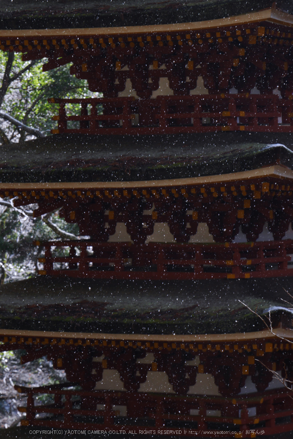 室生寺,雪景(P1000523,100 mm,f-7.1,GF7)2015yaotomi_.jpg