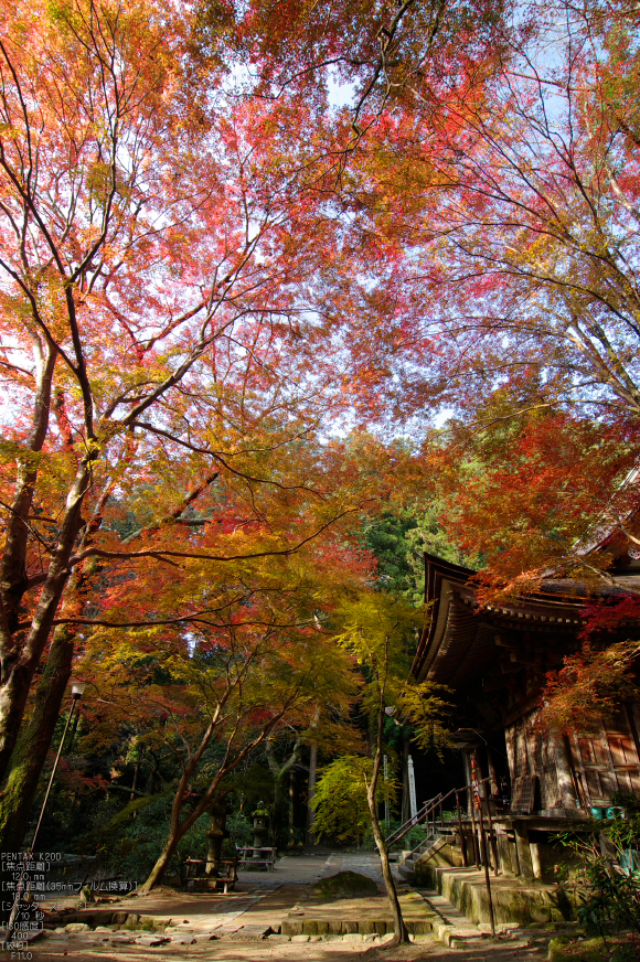 室生寺・紅葉_2011_25.jpg