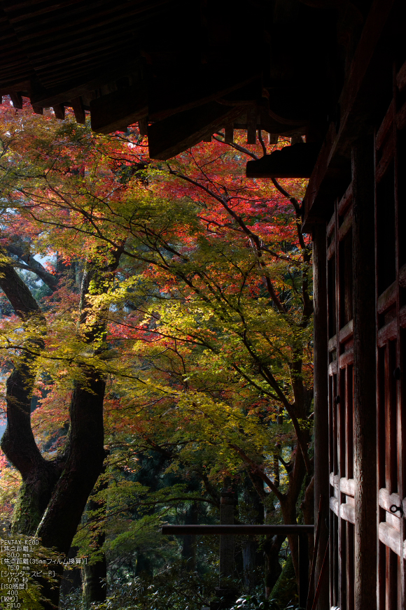 室生寺・紅葉_2011_26.jpg