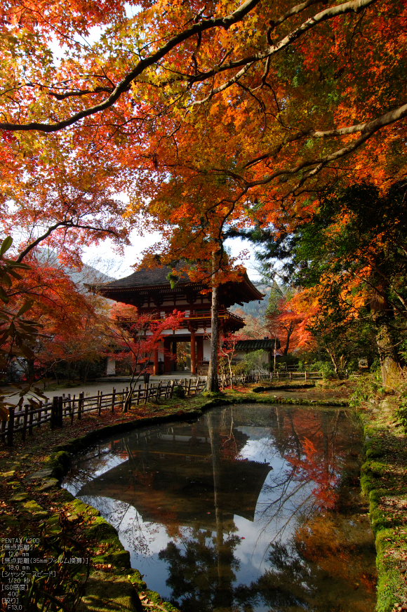 室生寺・紅葉_2011_33.jpg