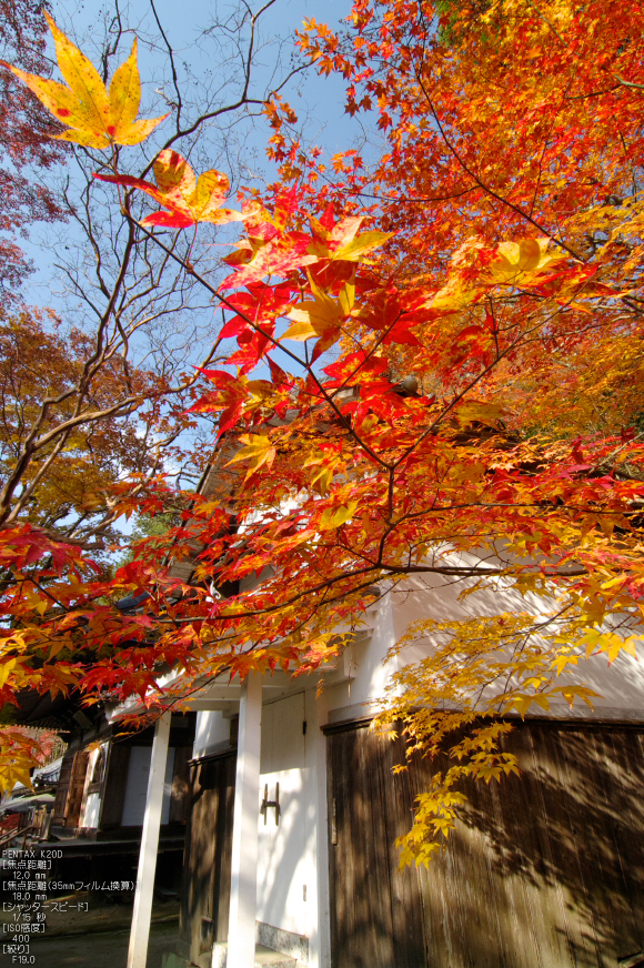 室生寺・紅葉_2011_34.jpg