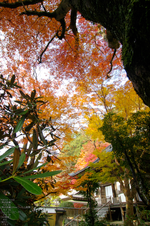 室生寺・紅葉_2011_40.jpg