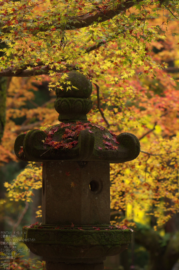 室生寺紅葉(2)_2012yaotomi_16.jpg