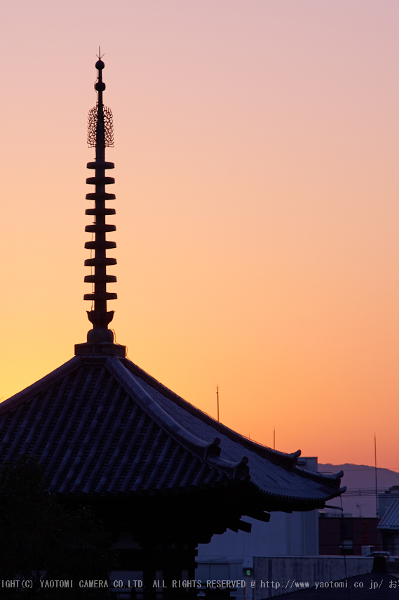 室生寺雪景,DSC_0093,2017yaotomi.jpg