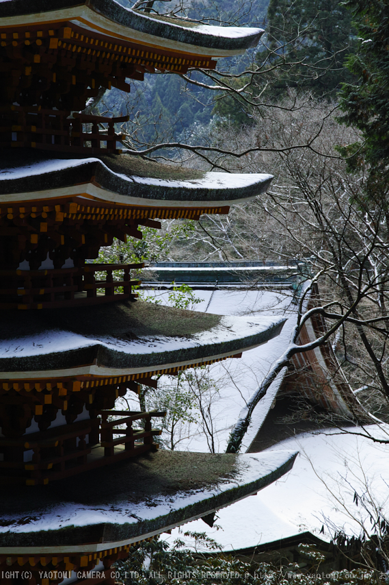 室生寺雪景,SDQH1023,2017yaotomi.jpg