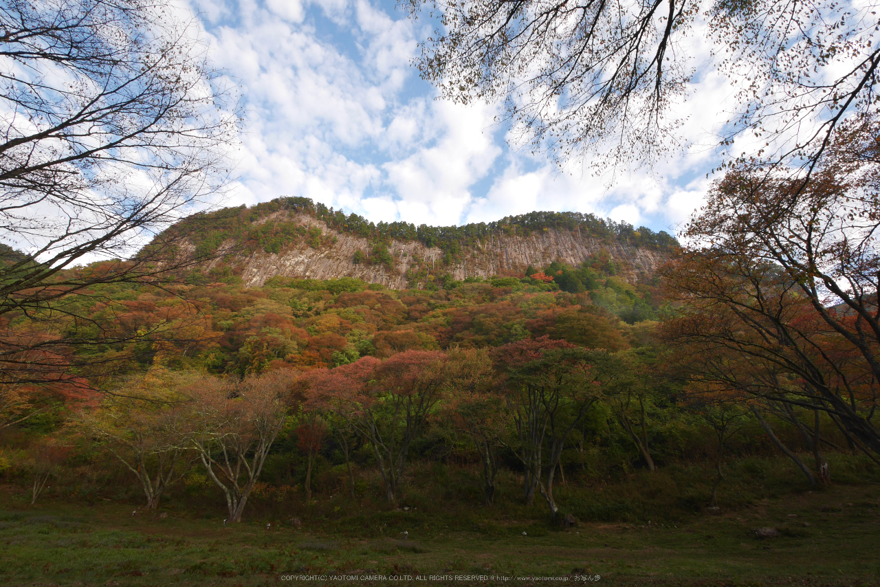 http://www.yaotomi.co.jp/blog/walk/%E5%B1%8F%E9%A2%A8%E5%B2%A9%E5%85%AC%E8%8B%91%2C%E7%B4%85%E8%91%89%28P1000151%2CF10%2C7mm%2CGM1S%292014yaotomi.jpg