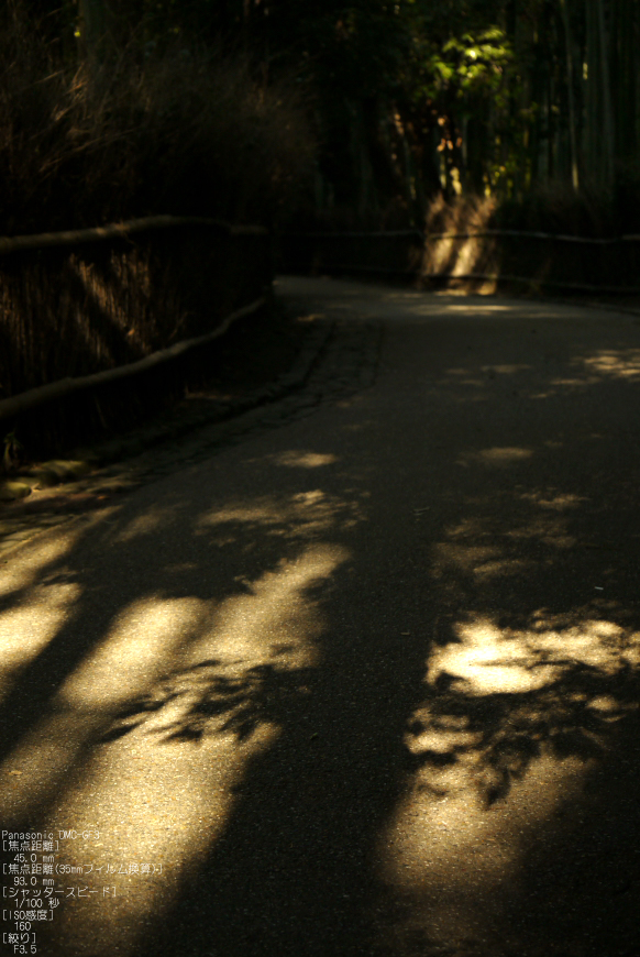 嵯峨野_竹林_201109_5.jpg