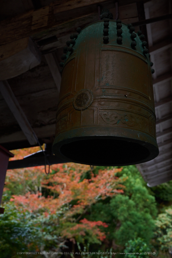 常照皇寺,紅葉(PB050303,17mm,F3.2,EM1)2014yaotomi.jpg