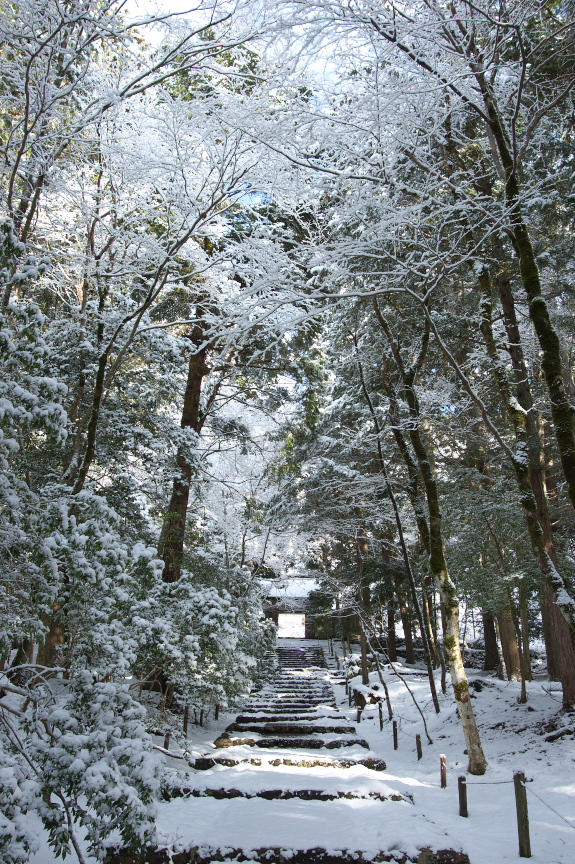 常照皇寺,雪景(K3,102436_20mm,F7,1)2014yaotomi_.jpg