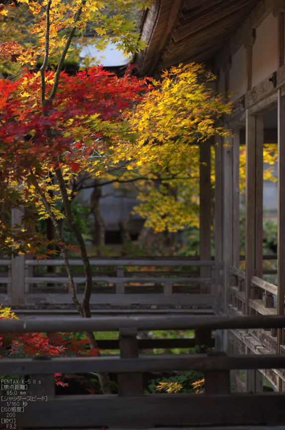 常照皇寺_紅葉2012_yaotomi_33s.jpg