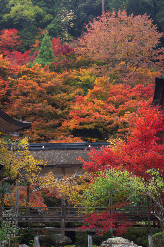 常照皇寺_紅葉2012_yaotomi_37s.jpg