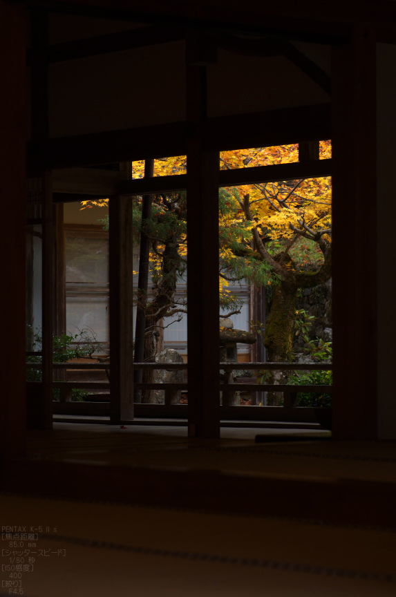 常照皇寺_紅葉2012_yaotomi_50s.jpg