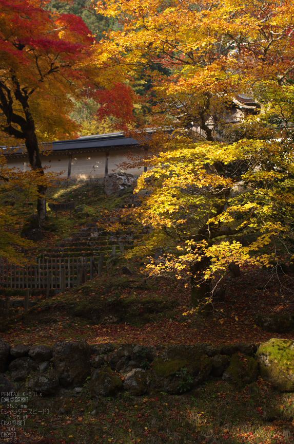 常照皇寺_紅葉2012_yaotomi_62s.jpg