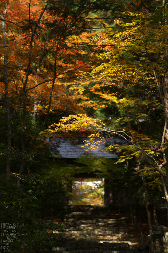 常照皇寺_紅葉2012_yaotomi_7s.jpg