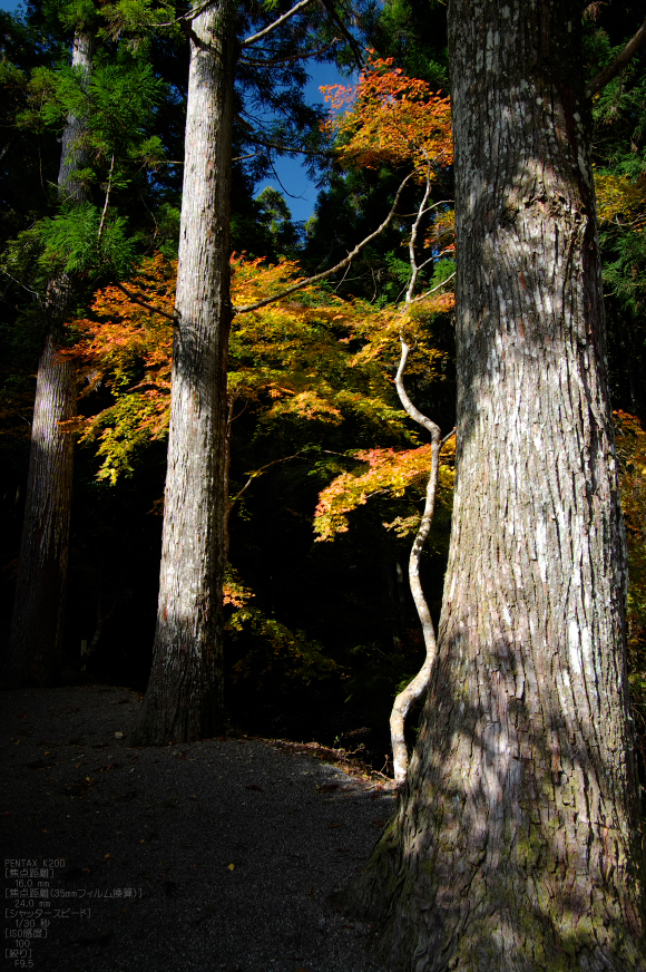 投石の滝・紅葉_2011_1.jpg