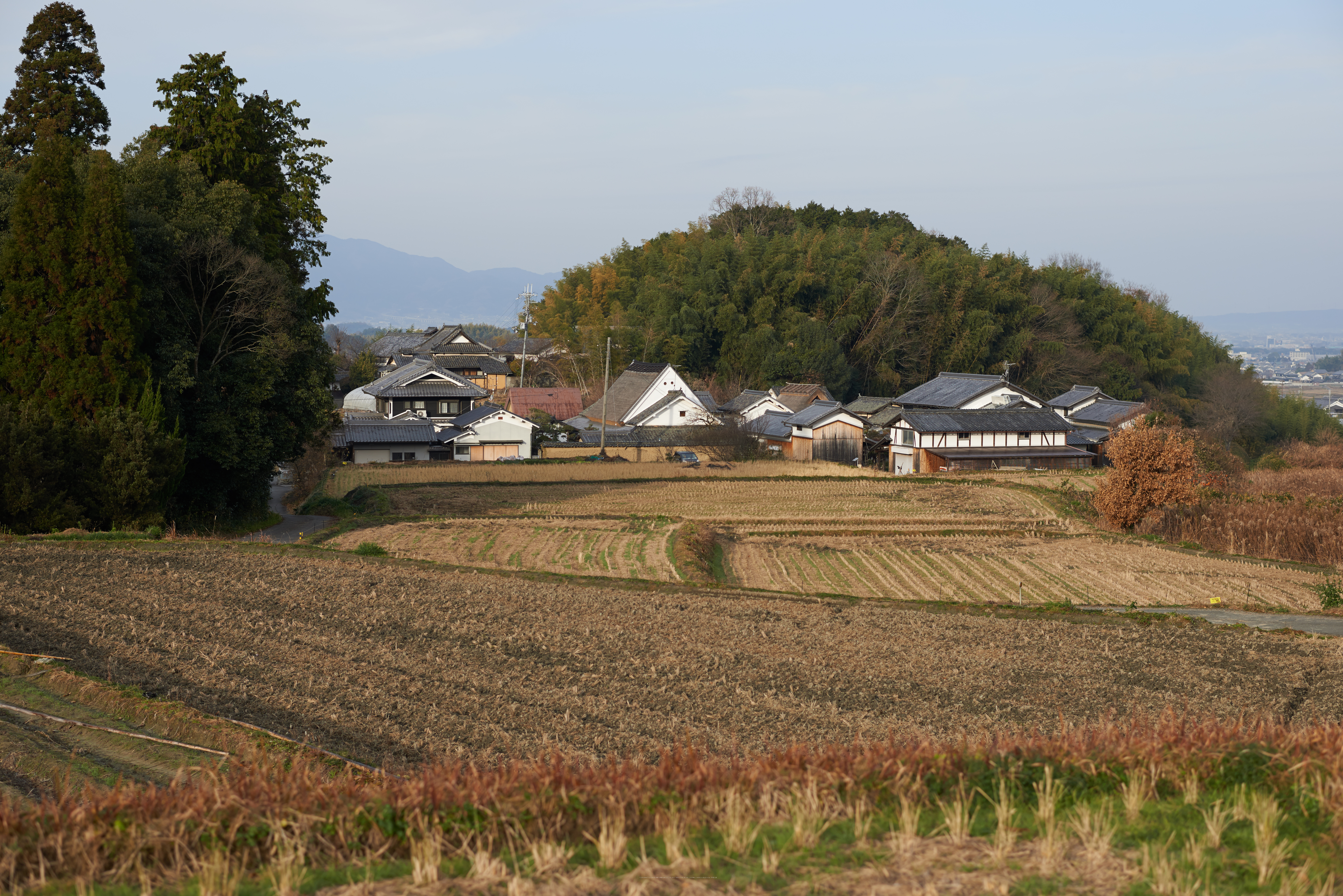 http://www.yaotomi.co.jp/blog/walk/%E6%98%8E%E6%97%A5%E9%A6%99%2820140104%29_DSC_6315Cap%28F4%2Ciso100%2CAF-S%2CNIKKOR58%2C1%2C4G%2CD800E%2CFULL%292014yaotomi.jpg