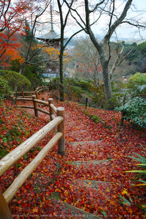 明日香,岡寺,紅葉(DP0Q0253,14 mm,F5.6,20151206yaotomi.jpg