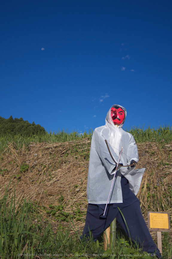 明日香,稲渕,案山子ロード(IMGP0062(RAW),8.5mm,F1.9,QS1)2014yaotomi_.jpg