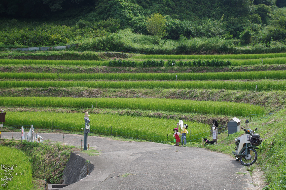 http://www.yaotomi.co.jp/blog/walk/%E6%98%8E%E6%97%A5%E9%A6%99%E7%A8%B2%E6%B8%95%E3%81%8B%E3%81%8B%E3%81%97%E3%82%B3%E3%83%B3%E3%83%86%E3%82%B9%E3%83%88_2012_yaotomi_%E3%81%8A%E5%86%99%E3%82%93%E6%AD%A9_20.jpg