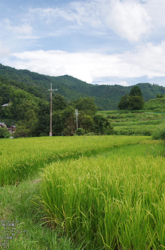 明日香稲渕かかしコンテスト_2012_yaotomi_お写ん歩_21.jpg