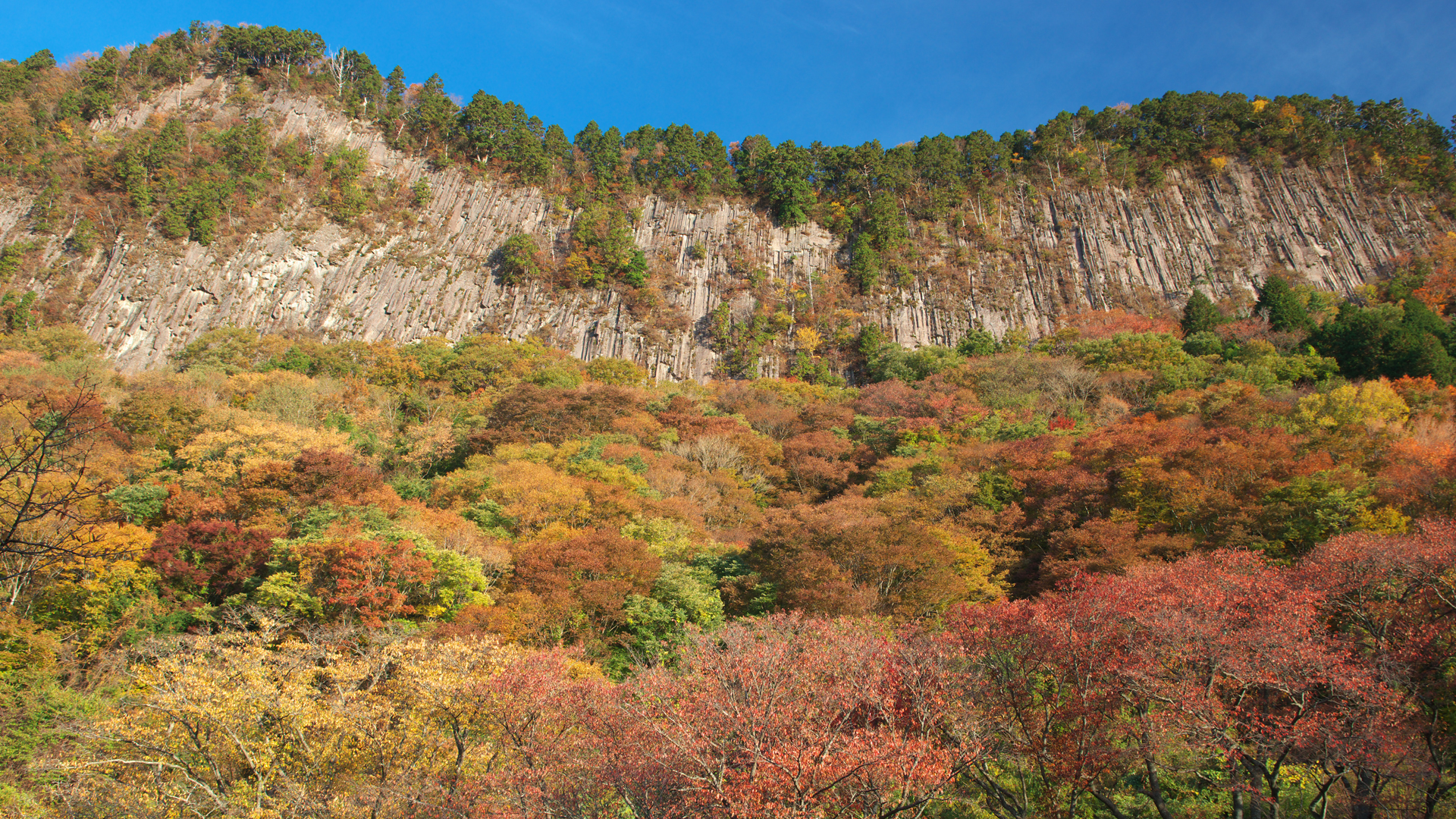 http://www.yaotomi.co.jp/blog/walk/%E6%9B%BD%E7%88%BE%2C%E5%B1%8F%E9%A2%A8%E5%B2%A9%E5%85%AC%E8%8B%91%2C%E7%B4%85%E8%91%89%EF%BC%88PENTAX-K3%EF%BC%89_2013yaotomi_25%E5%A3%81%E7%B4%99%281920x1080%29_.jpg