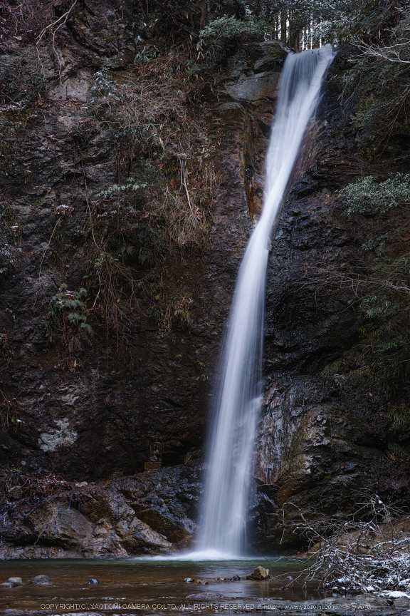 曽爾,屏風岩公苑,雪景(DP3Q0186,f-11,dp3Q)2015yaotomi_.jpg