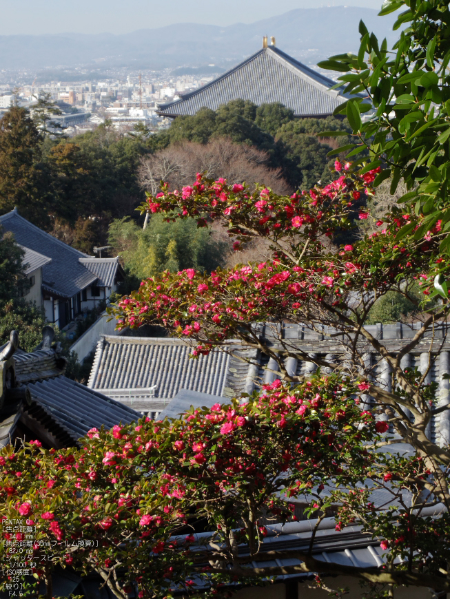 東大寺二月堂_2012_PENTAX_Q_12.jpg