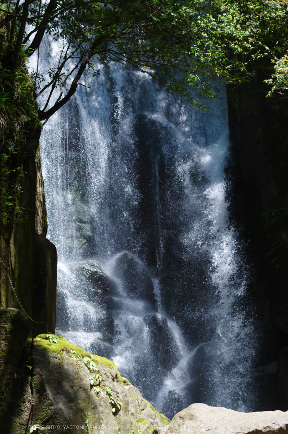 桑ノ木の滝,新緑(K32_0477,55 mm,F2.8)2015yaotomi.jpg