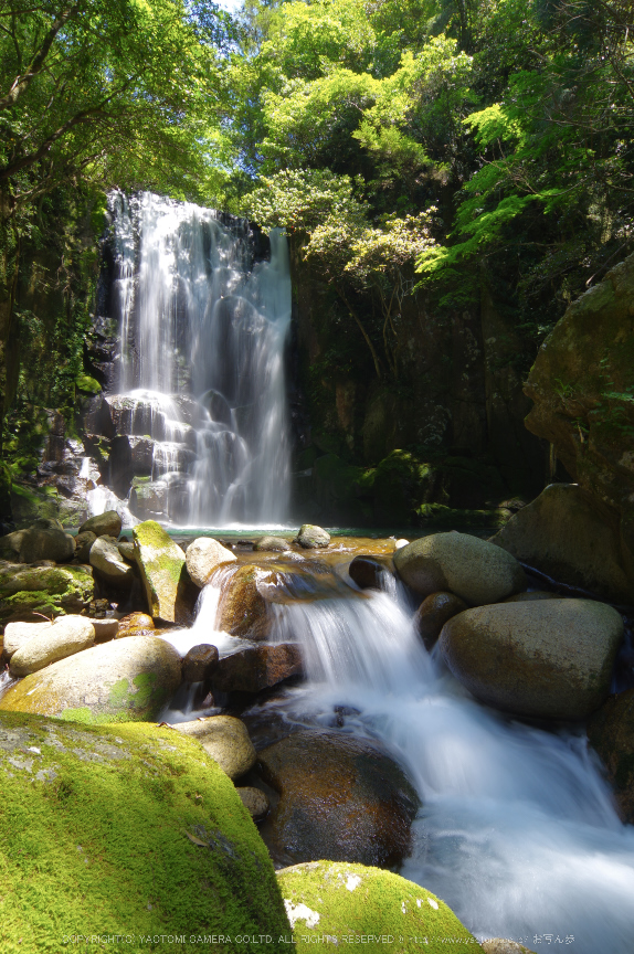 桑ノ木の滝,新緑(K32_0513,12 mm,F18)2015yaotomi.jpg