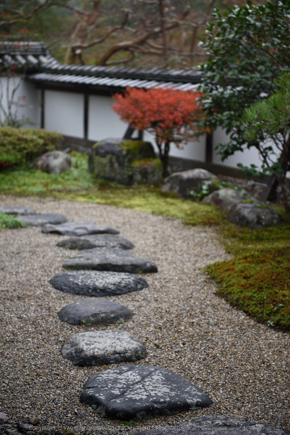 正暦寺,紅葉(DSC_0168,70mm,F2.8,D750)2014yaotomi.jpg