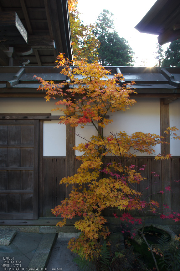 比叡山延暦寺,紅葉（PENTAX-K3）_2013yaotomi_25s.jpg