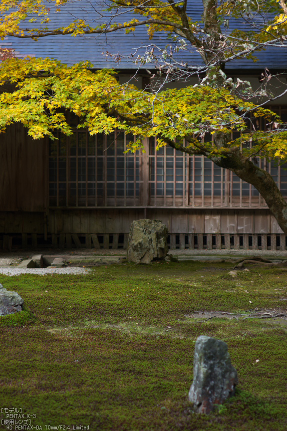 比叡山延暦寺（浄土院）,紅葉（PENTAX-K3）_2013yaotomi_7s.jpg