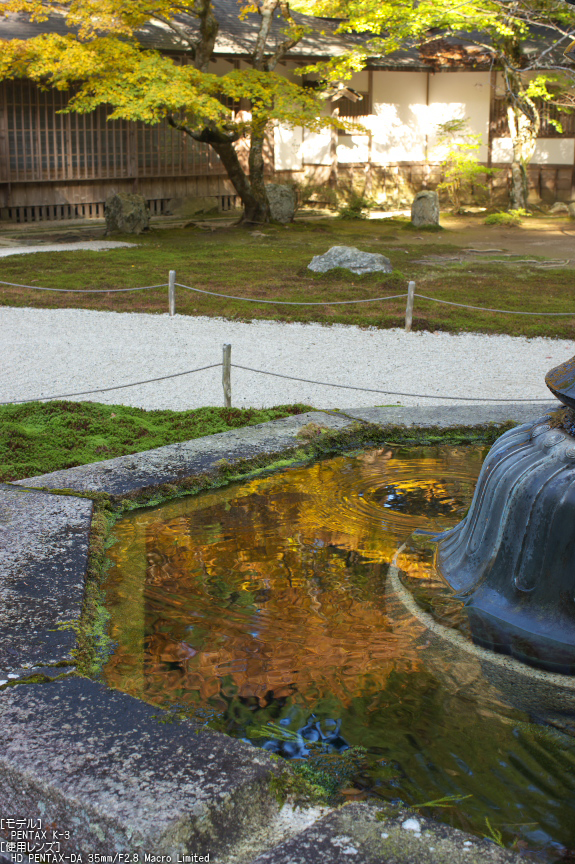 比叡山延暦寺（浄土院）,紅葉（PENTAX-K3）_2013yaotomi_8s.jpg