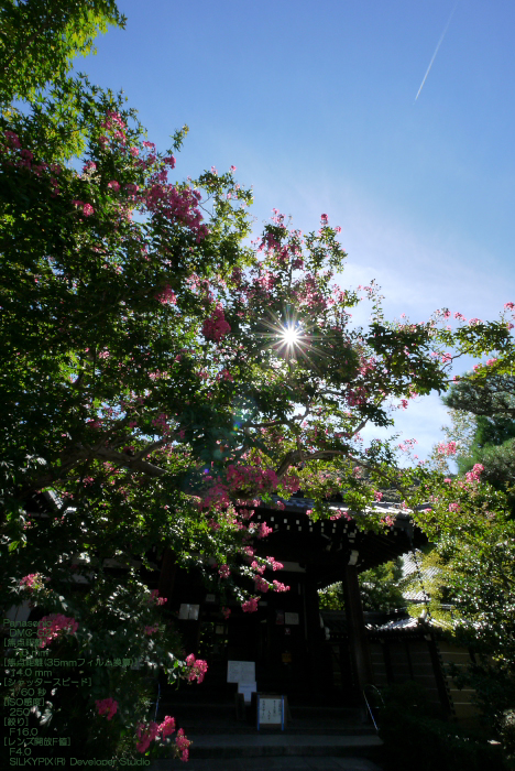 永観堂201008_5.jpg