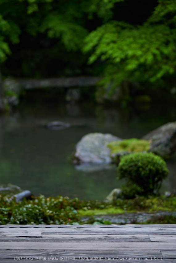 洛北蓮華寺,新緑(P9710766,43 mm,1.7,DMC-GX7)2015yaotomi_.jpg