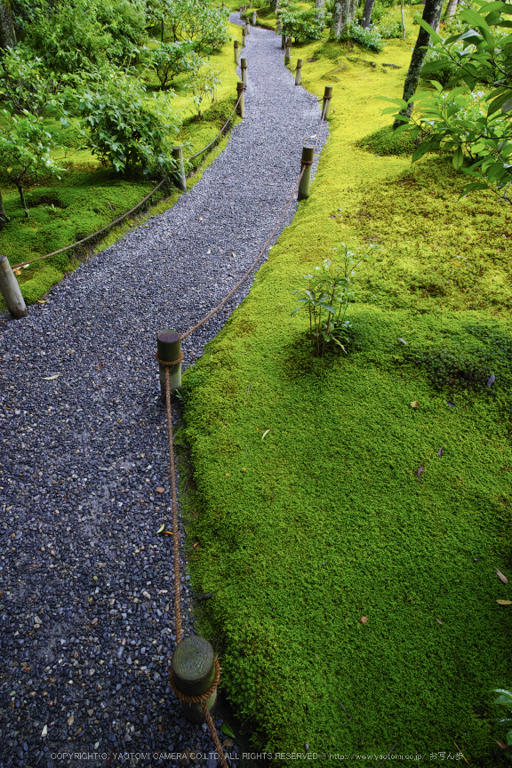 無鄰庵,夏の庭園(DP0Q0294,F6.3)2015yaotomi_.jpg