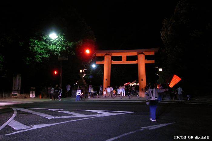 燈花会２０１０-春日大社鳥居.jpg