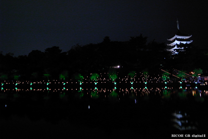 燈花会２０１０-猿沢池-2.jpg