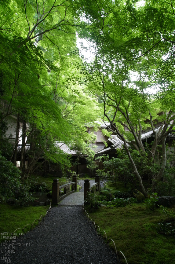 瑠璃光院_RICOH_GXR_A16_yaotomi_3.jpg