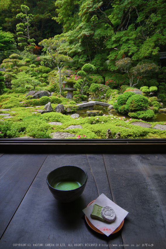 當麻寺,西南院,サツキ(K32_0610,12 mm,F13)2015yaotomi_.jpg