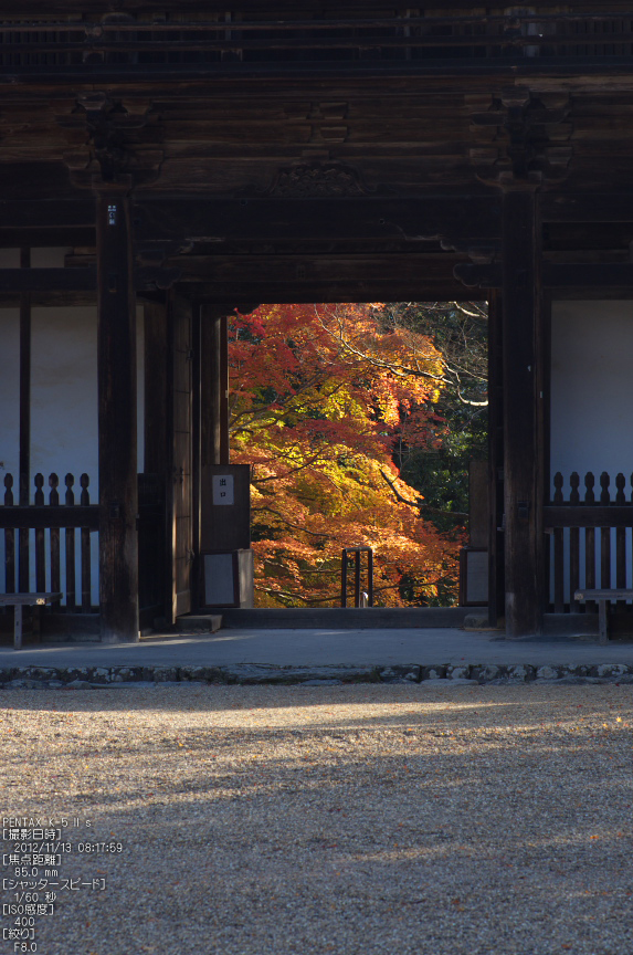 神護寺_紅葉2012_yaotomi_10s.jpg