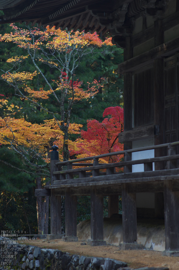 神護寺_紅葉2012_yaotomi_13s.jpg