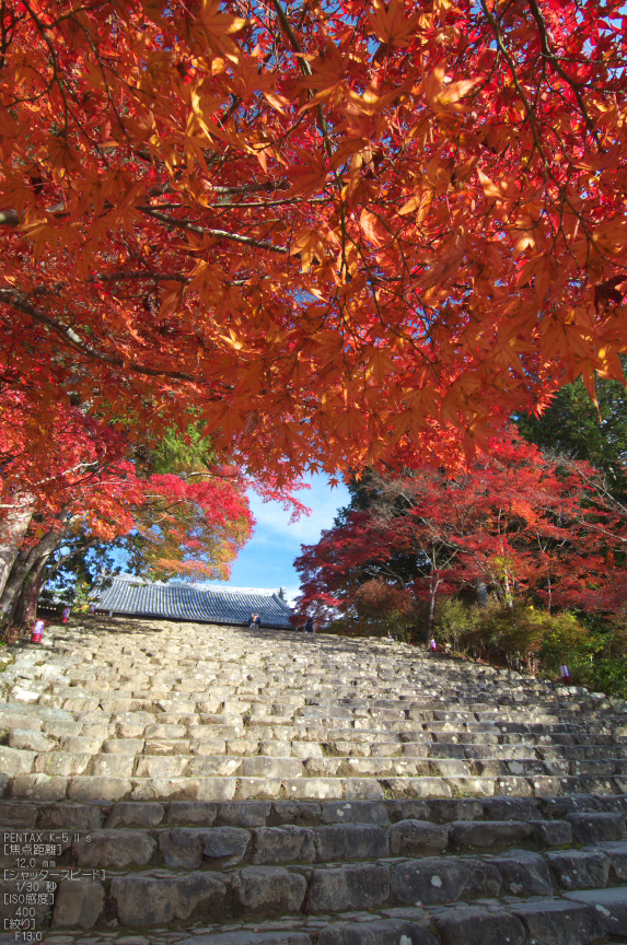 神護寺_紅葉2012_yaotomi_18s.jpg