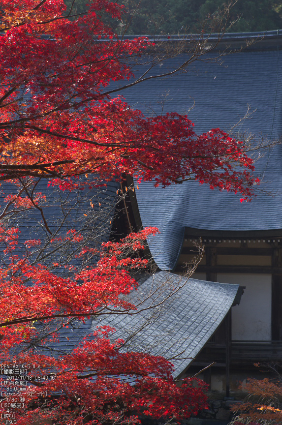 神護寺_紅葉2012_yaotomi_21s.jpg