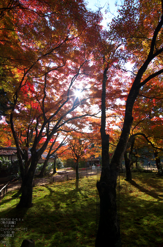 神護寺_紅葉2012_yaotomi_32s.jpg