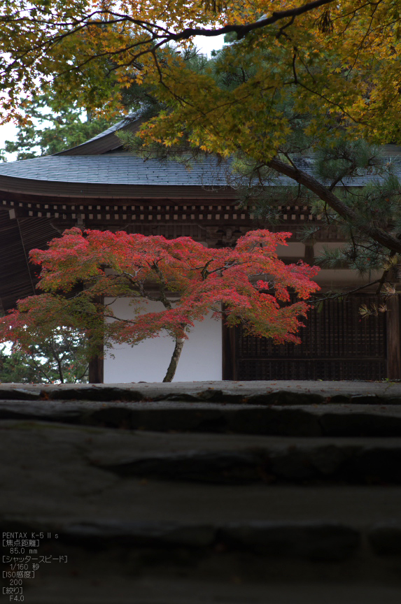 神護寺_紅葉2012_yaotomi_52s.jpg